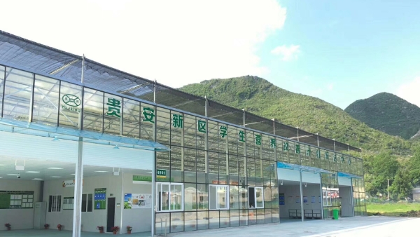 香港宝典免费资料网