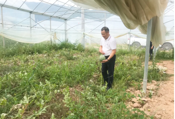 香港宝典免费资料网