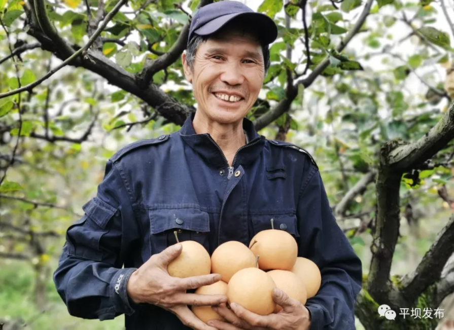 香港宝典免费资料网
