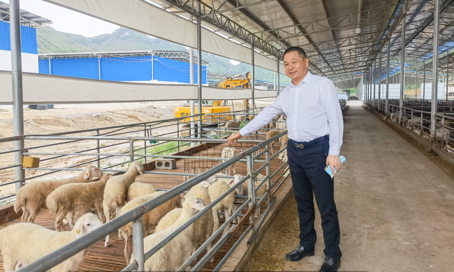香港宝典免费资料网